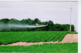 spray plane